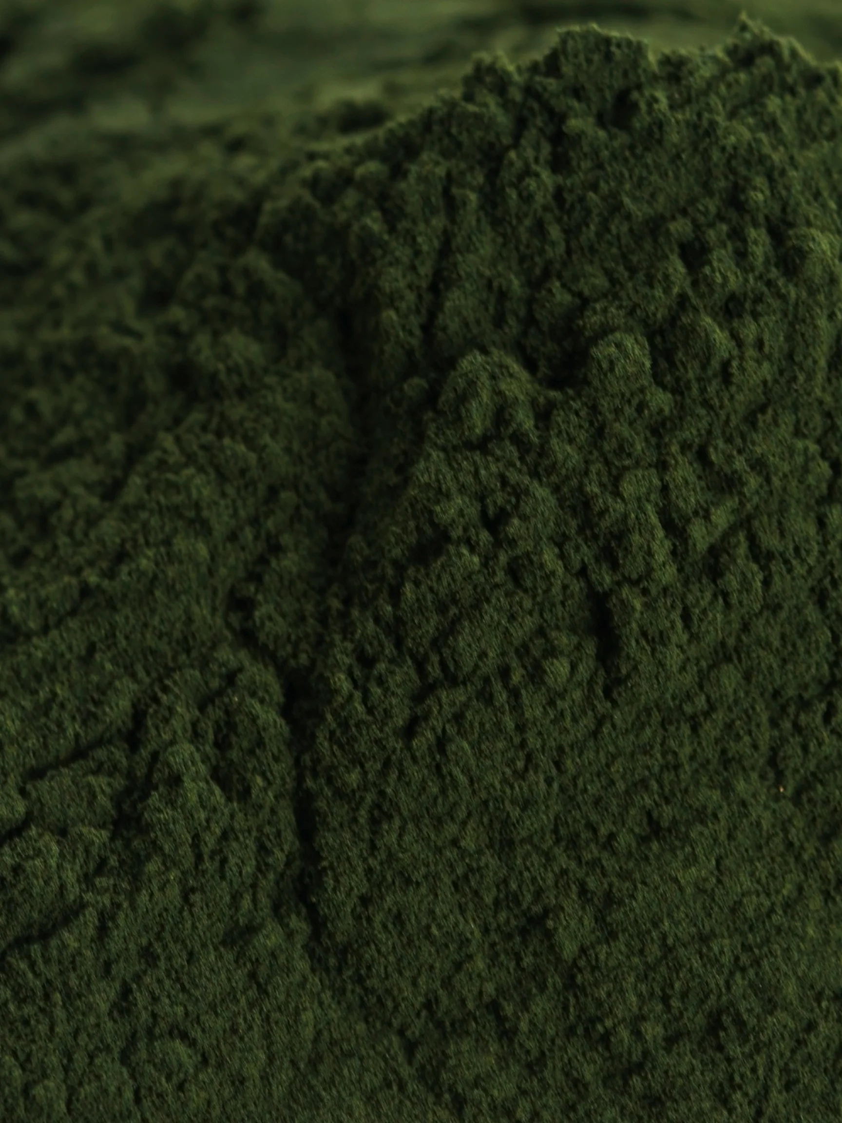 Chlorella, Organic 4 oz BULK BAG