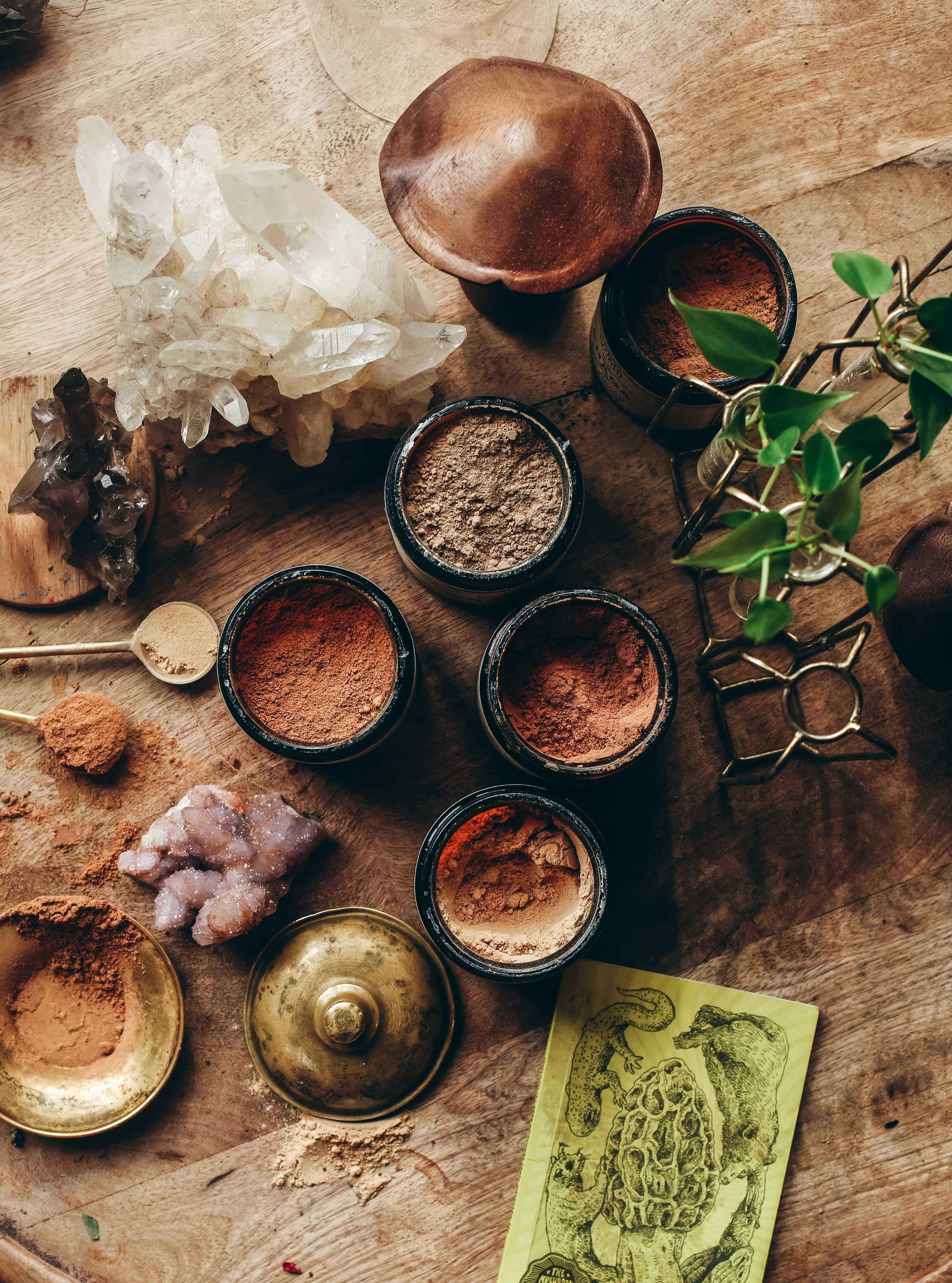 CORDYCEPS | Organic Mushroom Powder, Energy Vitality Tonic* - Image 10
