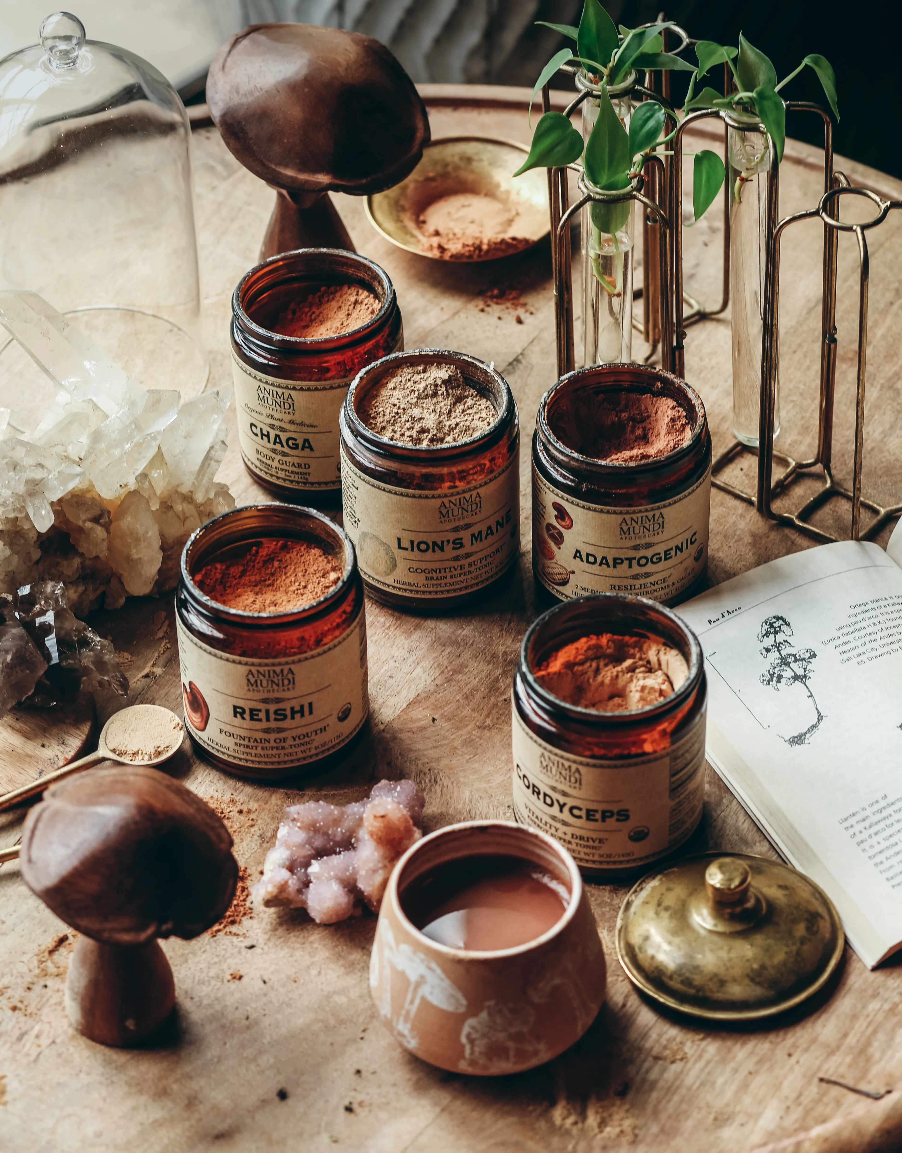 REISHI | Organic Mushroom Powder, Spirit Super-Tonic* - Image 11