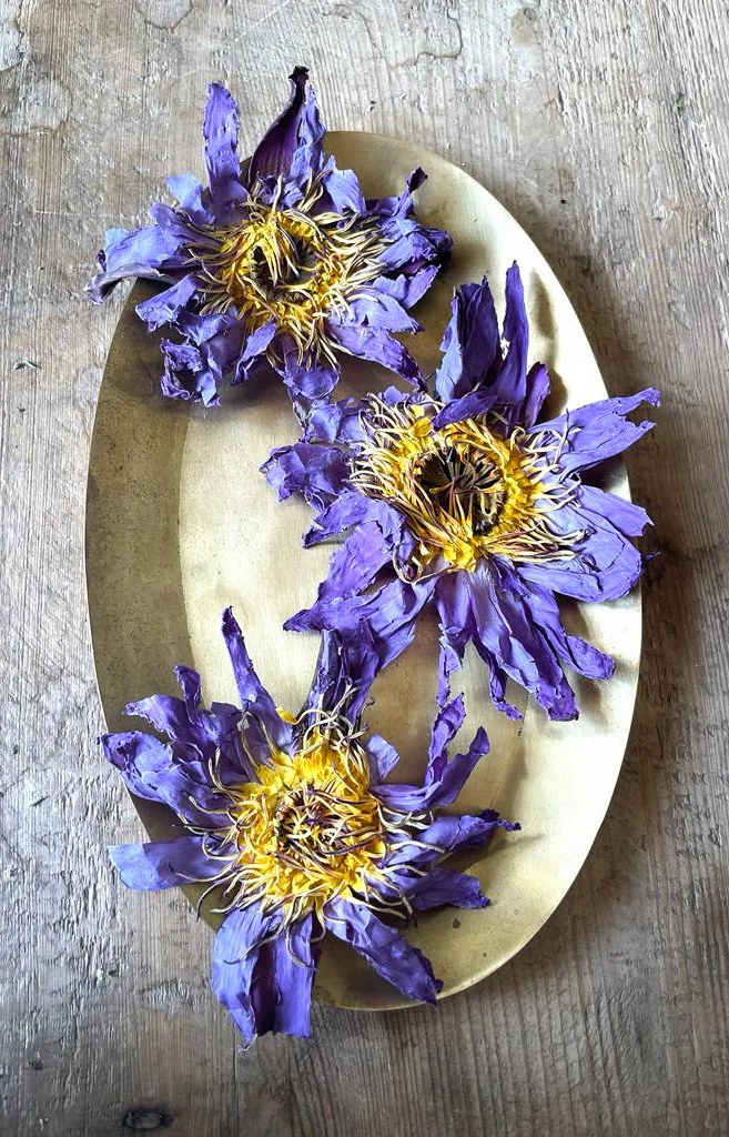 WHOLE BLUE FLOWERS | Blossoms of Intuition* - Image 9