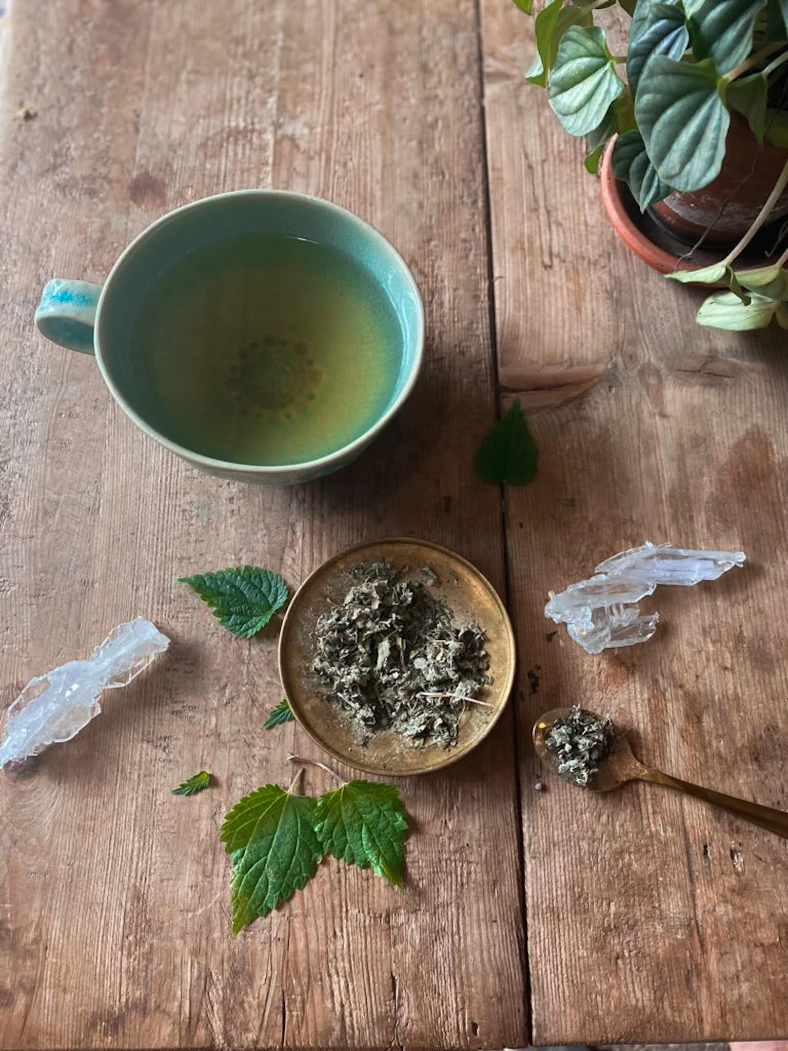 WOMB Tea | Nourish + Empower* - Image 8